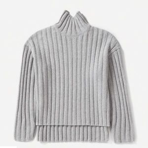 Everlane Wool Cashmere Rib Oversized Turtleneck